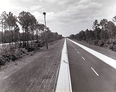 Florida wooded median